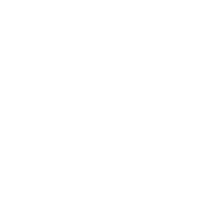 Secure Solutions logo