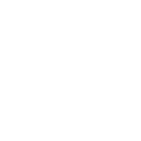 The Drone Bros logo